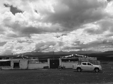 Yunmu Green Field 44