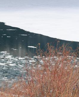 Long Song of Winter Silence 7