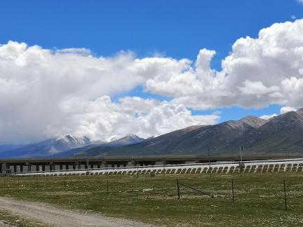 Yunmu Green Field 52