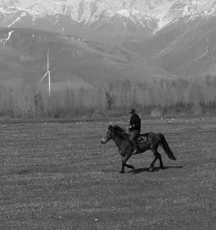 Grassland horse ranch 21