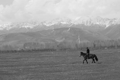 Grassland horse ranch 22