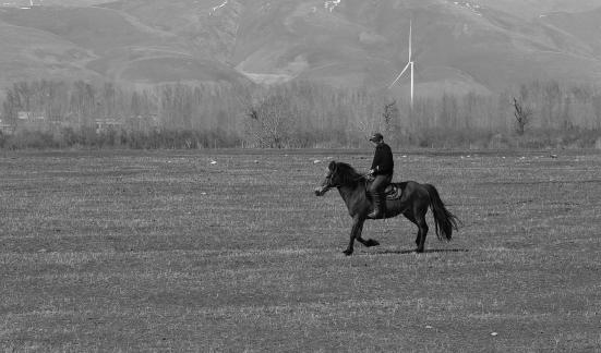 Grassland horse ranch 23