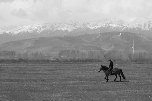 Grassland horse ranch 24