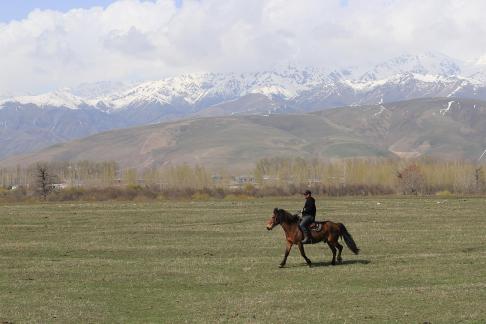 Grassland horse ranch 26