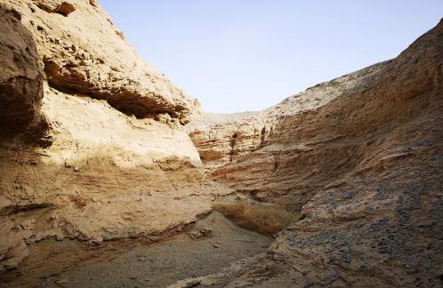 Rift Valley Morning Light 1