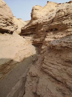 Rift Valley Morning Light 3