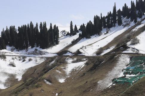 Snowy Ridge Pine Plains 25