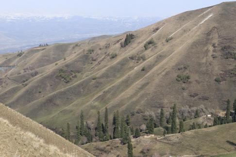 Snowy Ridge Pine Plains 28