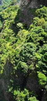 Green Wilderness and Tranquility 1