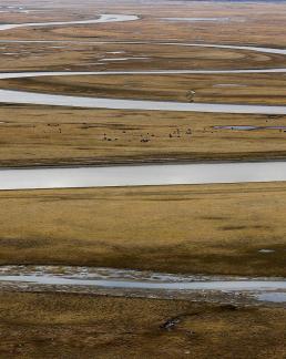 Towards the Far River 23