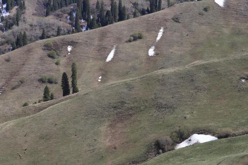 Winter Green Space 6