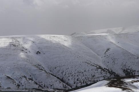 Empty field white painting 26