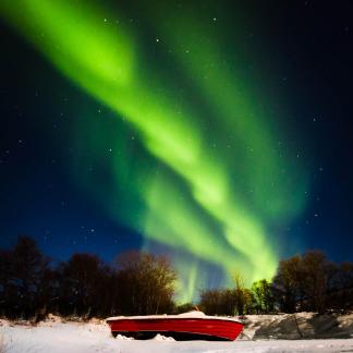 Aurora borealis in Lofoten