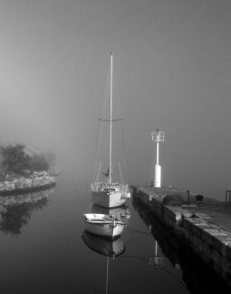Fog in the bay 05