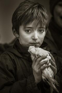 Boy with a dove