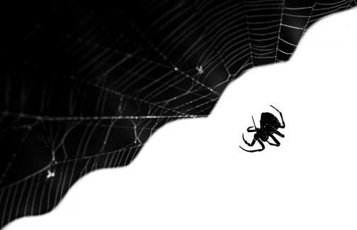 Beyond the perspective