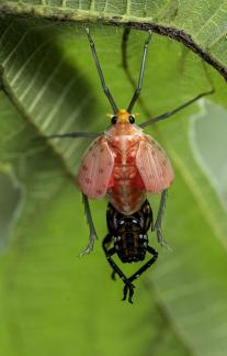 change qualitatively 3