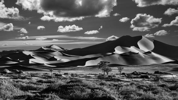 Desert landscape