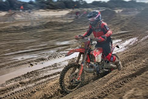 Mudlark