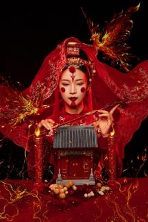 Fire Phoenix