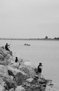 They hope to catch
