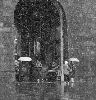 Snowflakes Dancing in the World 43
