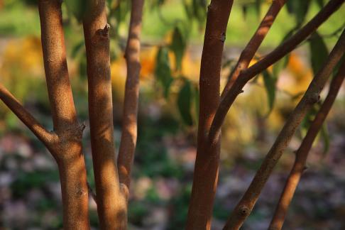 The quality of wood and stone 1