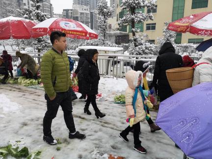 Snowy scenery 47