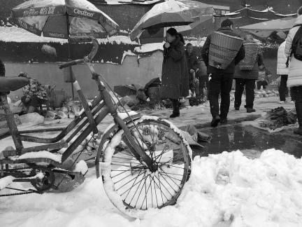 Snowy scenery 42