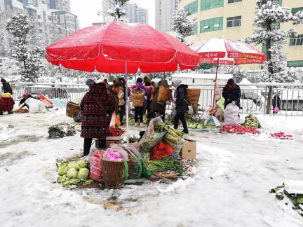 Snowy scenery 33