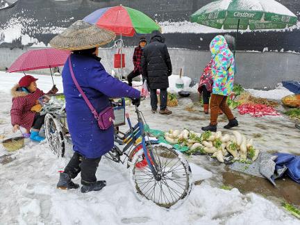 Snowy scenery 36