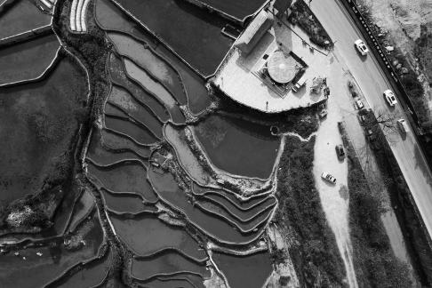 Terraced fields scenery 59