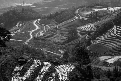 Terraced fields scenery 62
