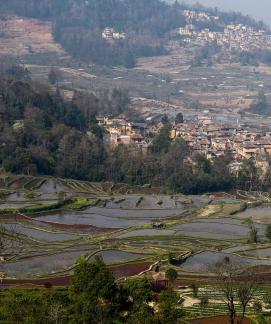 Terraced Fields Holy Scenery 22