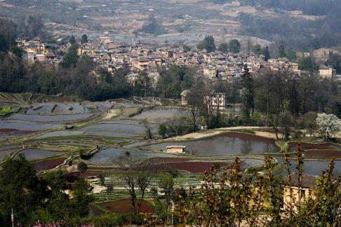 Terraced Fields Holy Scenery 24