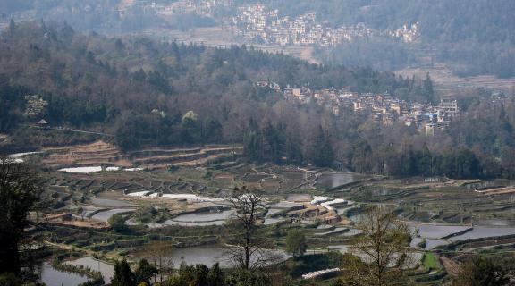 Terraced Fields Holy Scenery 25