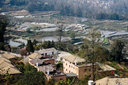 Terraced Fields Holy Scenery 26