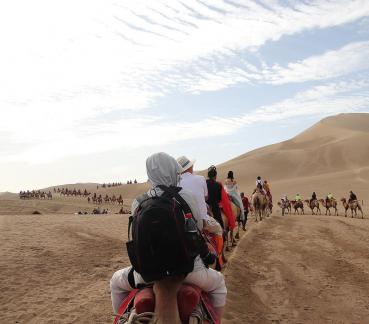 Desert Journey 49