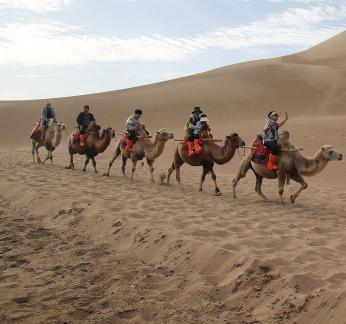 Desert Journey 50