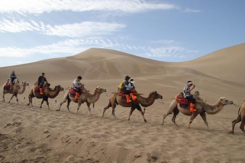 Desert Journey 51