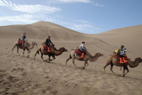 Desert Journey 52