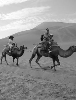 Desert Journey 53