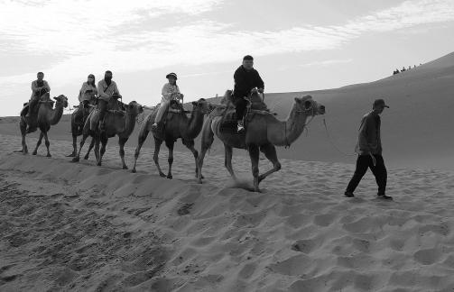 Desert Journey 54
