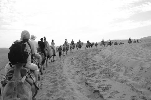 Desert Journey 56