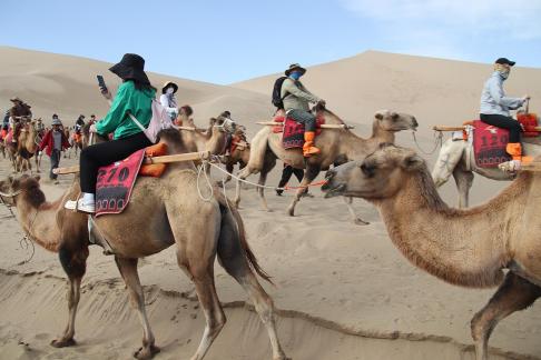 Desert Journey 58