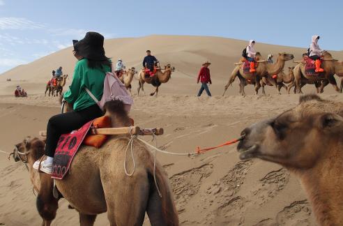 Desert Journey 60