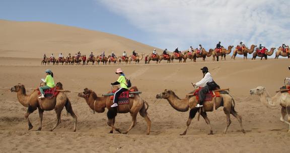 Desert Journey 61