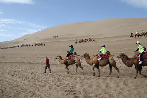 Desert Journey 62