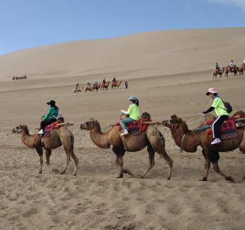 Desert Journey 63