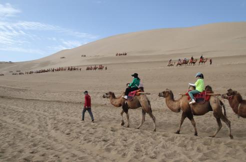 Desert Journey 64